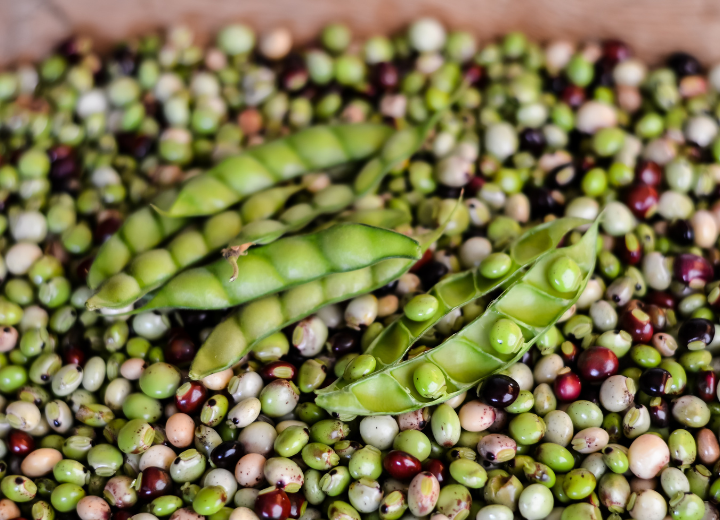 Tanzanian pigeon peas and agricultural crops