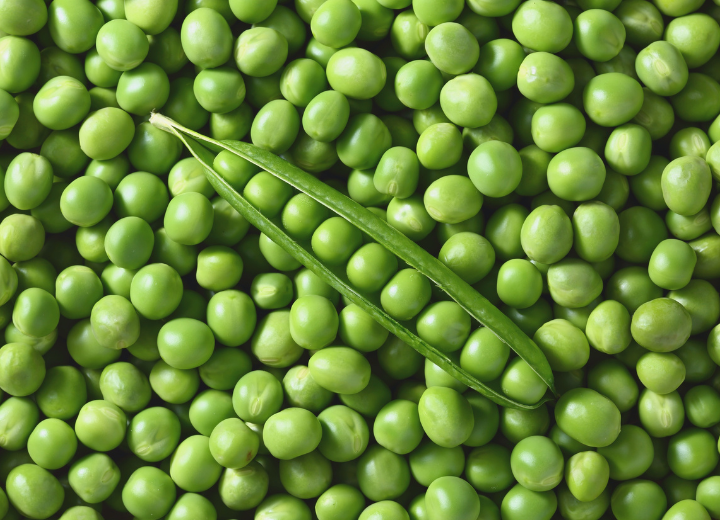 Chick Peas Dengu