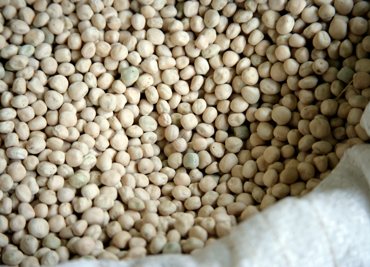 Agribusiness and agricultural production