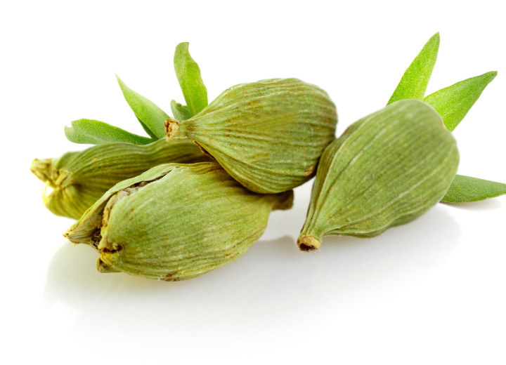 Brown cardamom